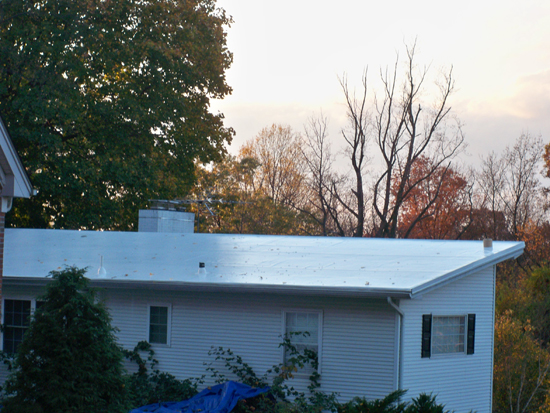 a home with a metal roofing system