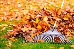 3 Tips To Help Prepare Your Roof For Fall